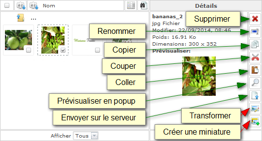 JCE Gestionnaire images étendu - Image détail