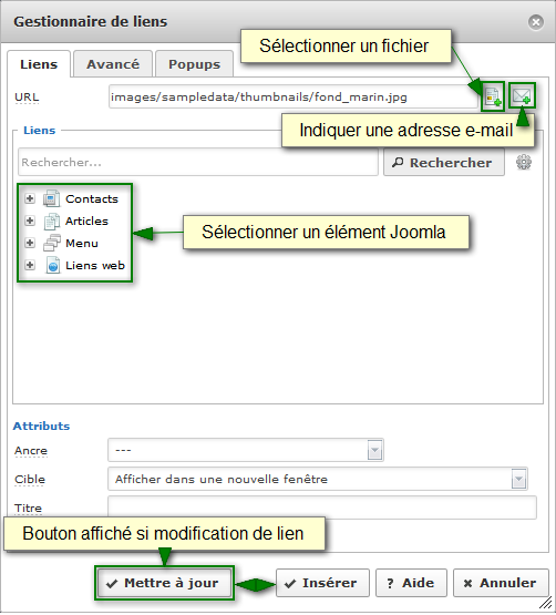 jce gestionnaire-liens types