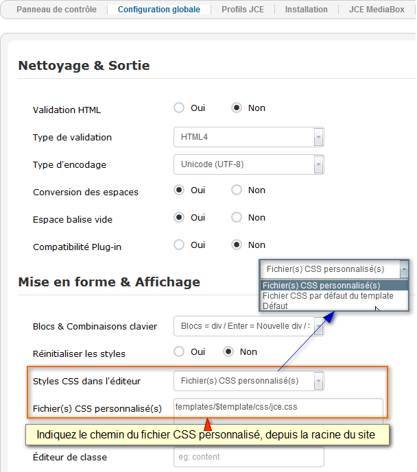 jce config globale styles